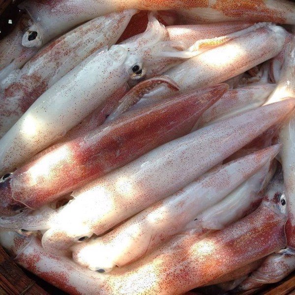 Công ty TNHH Chuối Hột