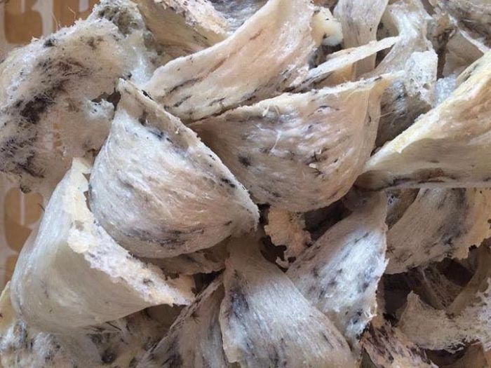 Công ty TNHH Chuối Hột